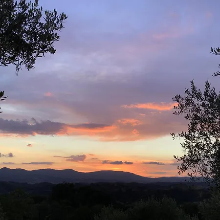 Podere Campiglia Pian di Scò