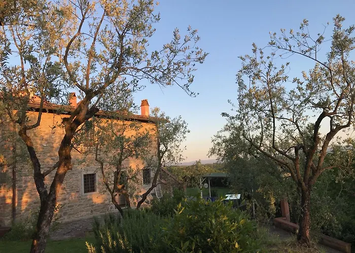 Podere Campiglia Pian Di Sco
