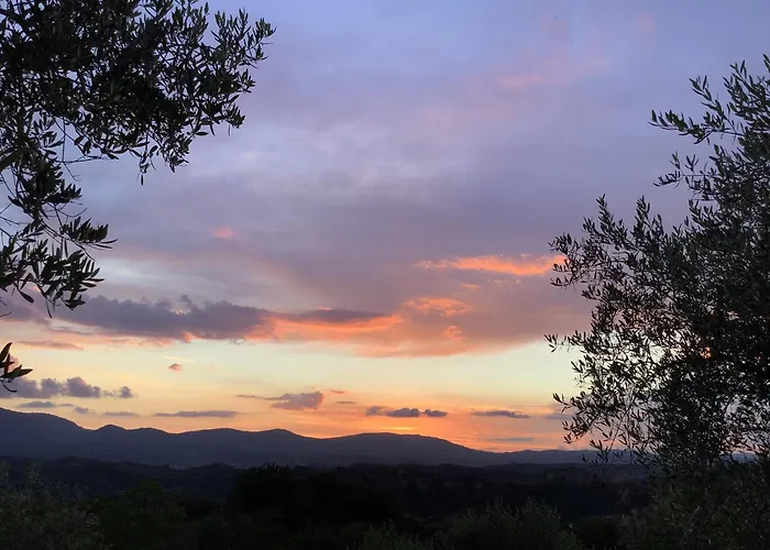 Podere Campiglia Pian Di Sco
